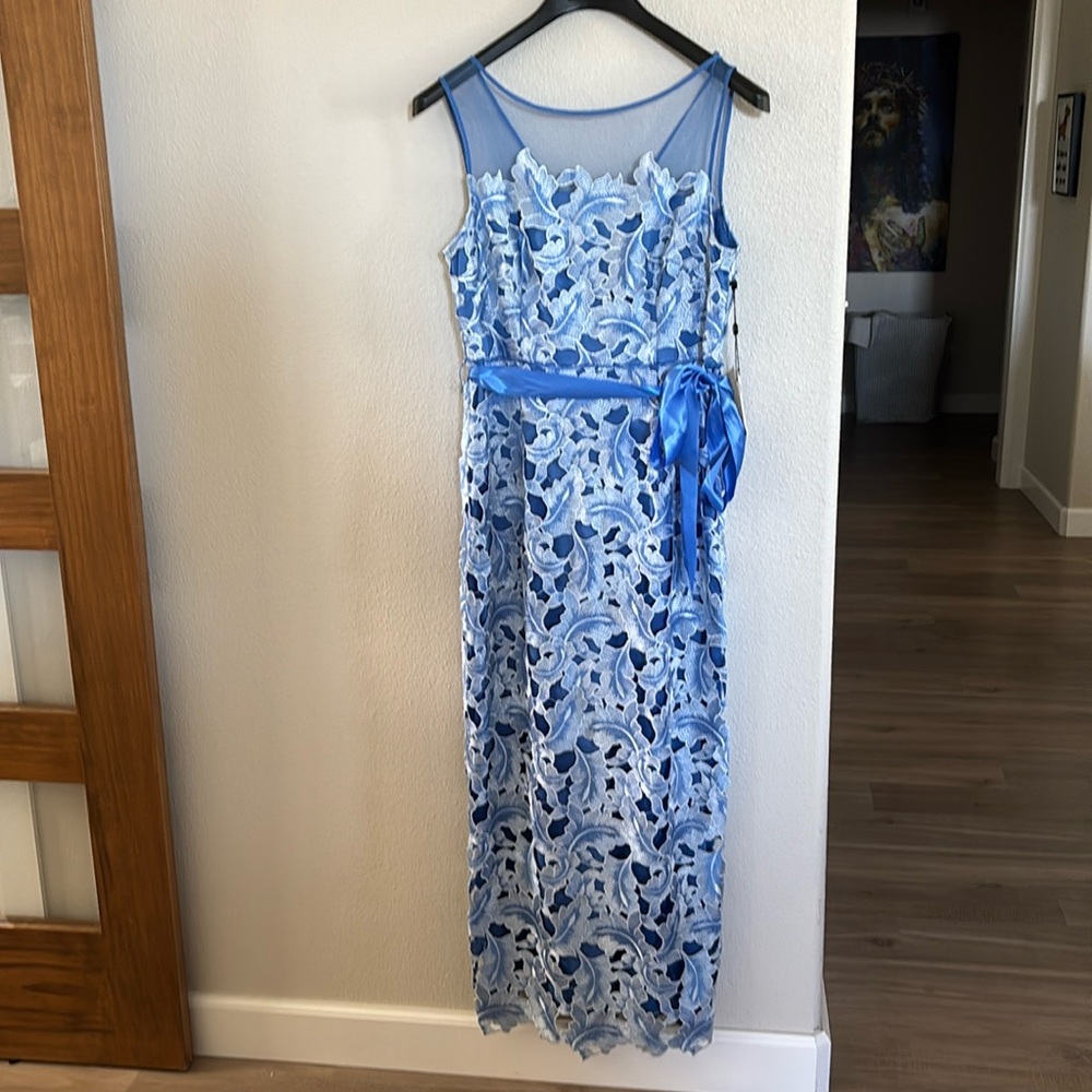 Adrianna Papell size 10p formal.